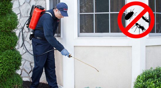 Özalp Akrep İlaçlama böcek ilaçlama ve haşere kontrolü — ilaclama-tr.com